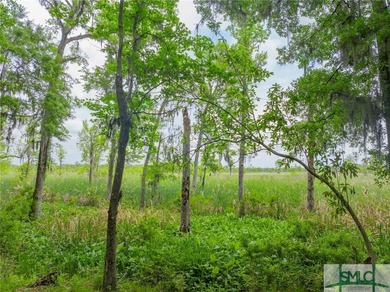 Rare Double Lot on the Marina within the Ford Field & River on The Ford Field and River Club  in Georgia - for sale on GolfHomes.com, golf home, golf lot