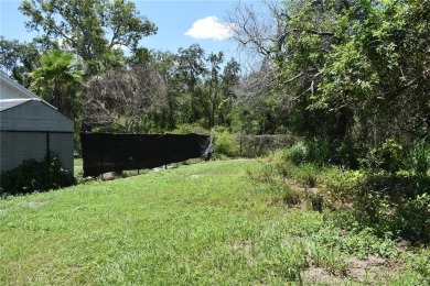 Design and Build Your Own Boater's Paradise.   This buildable on Innisbrook Resort and Golf Club in Florida - for sale on GolfHomes.com, golf home, golf lot