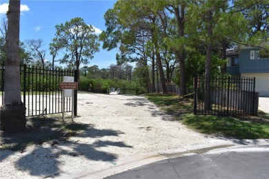 Design and Build Your Own Boater's Paradise.   This buildable on Innisbrook Resort and Golf Club in Florida - for sale on GolfHomes.com, golf home, golf lot