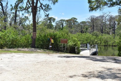 Design and Build Your Own Boater's Paradise.   This buildable on Innisbrook Resort and Golf Club in Florida - for sale on GolfHomes.com, golf home, golf lot