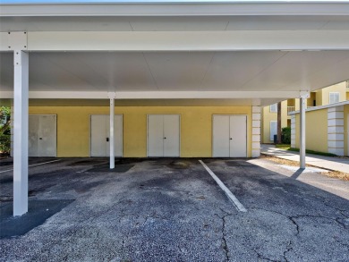 Beautifully RENOVATED and FRESHLY PAINTED condo with GOLF AND on Plantation Golf and Country Club in Florida - for sale on GolfHomes.com, golf home, golf lot