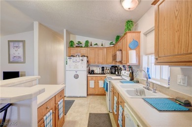 Own a rare gem in Desert Greens Pahrump! This immaculate 2005 on Desert Greens Golf Course in Nevada - for sale on GolfHomes.com, golf home, golf lot