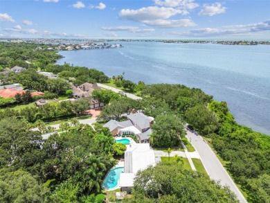 How is this possible? A home on the water in a NO FLOOD ZONE! on Belleview Biltmore Golf Club in Florida - for sale on GolfHomes.com, golf home, golf lot