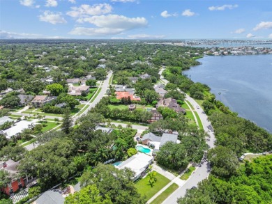 How is this possible? A home on the water in a NO FLOOD ZONE! on Belleview Biltmore Golf Club in Florida - for sale on GolfHomes.com, golf home, golf lot