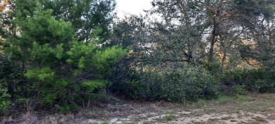 Come build your forever home on this one-half acre lot that on Indian Lake Estates Golf and Country Club in Florida - for sale on GolfHomes.com, golf home, golf lot