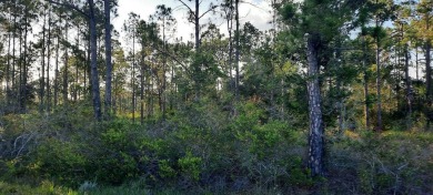 Come build your forever home on this one-half acre lot that on Indian Lake Estates Golf and Country Club in Florida - for sale on GolfHomes.com, golf home, golf lot