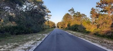 Come build your forever home on this one-half acre lot that on Indian Lake Estates Golf and Country Club in Florida - for sale on GolfHomes.com, golf home, golf lot