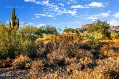 LOWEST PRICE LOT IN SUPERSTITION MOUNTAIN! CUSTOM HOMESITE.  NO on Superstition Mountain Club - Lost Gold in Arizona - for sale on GolfHomes.com, golf home, golf lot