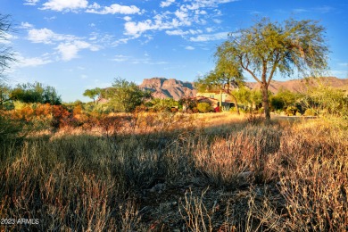 LOWEST PRICE LOT IN SUPERSTITION MOUNTAIN! CUSTOM HOMESITE.  NO on Superstition Mountain Club - Lost Gold in Arizona - for sale on GolfHomes.com, golf home, golf lot