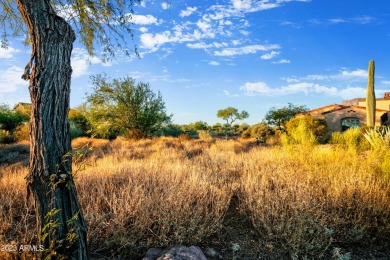 LOWEST PRICE LOT IN SUPERSTITION MOUNTAIN! CUSTOM HOMESITE.  NO on Superstition Mountain Club - Lost Gold in Arizona - for sale on GolfHomes.com, golf home, golf lot