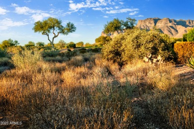 LOWEST PRICE LOT IN SUPERSTITION MOUNTAIN! CUSTOM HOMESITE.  NO on Superstition Mountain Club - Lost Gold in Arizona - for sale on GolfHomes.com, golf home, golf lot