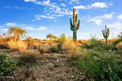 LOWEST PRICE LOT IN SUPERSTITION MOUNTAIN! CUSTOM HOMESITE.  NO on Superstition Mountain Club - Lost Gold in Arizona - for sale on GolfHomes.com, golf home, golf lot
