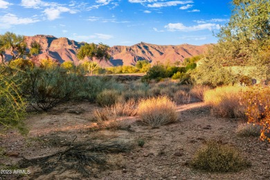 LOWEST PRICE LOT IN SUPERSTITION MOUNTAIN! CUSTOM HOMESITE.  NO on Superstition Mountain Club - Lost Gold in Arizona - for sale on GolfHomes.com, golf home, golf lot