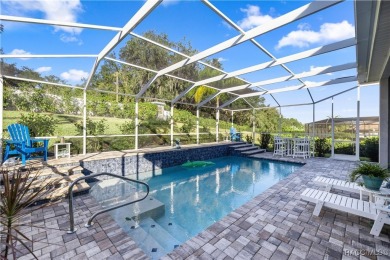 Enjoy the Savings! Dream of a Stunning 2022 Tiffany Style Pool on Skyview At Terra Vista Golf and Country Club in Florida - for sale on GolfHomes.com, golf home, golf lot