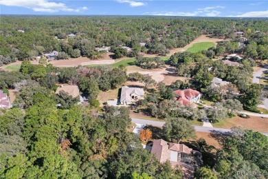 Discover the charm  elegance of this move-in-ready, custom-built on Black Diamond Ranch Golf Course in Florida - for sale on GolfHomes.com, golf home, golf lot