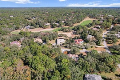 Discover the charm  elegance of this move-in-ready, custom-built on Black Diamond Ranch Golf Course in Florida - for sale on GolfHomes.com, golf home, golf lot