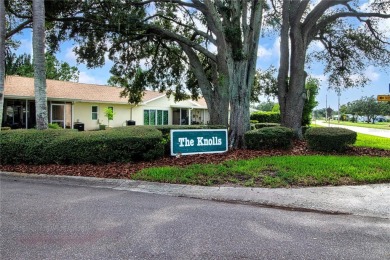 Welcome to the Knolls, the most unique neighborhood in King's on Kings Point Executive Golf Course in Florida - for sale on GolfHomes.com, golf home, golf lot