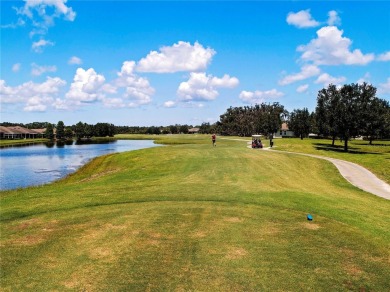 Welcome to the Knolls, the most unique neighborhood in King's on Kings Point Executive Golf Course in Florida - for sale on GolfHomes.com, golf home, golf lot