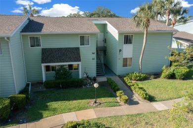 EXQUISITE Furnished Lakefront 55+ 2/2 Condo.   Back on the on Country Club At Silver Springs Shores in Florida - for sale on GolfHomes.com, golf home, golf lot