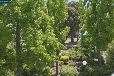 VIEWS  PRIVACY! This is a MUST SEE! Modern Comfort Meets Prime on Diablo Hills Golf Course in California - for sale on GolfHomes.com, golf home, golf lot