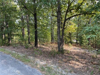 Looking for a flat lot with room to build in Bella Vista! You on Bella Vista Country Club - Scottsdale in Arkansas - for sale on GolfHomes.com, golf home, golf lot