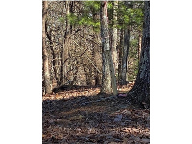 Build the Mountain Life You've Been Dreaming Of in Big Canoe on Big Canoe Golf Club - Cherokee in Georgia - for sale on GolfHomes.com, golf home, golf lot