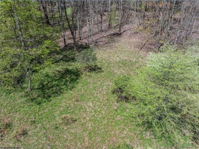 Have you been searching for the perfect location for your LAKE on Alpine Lake Resort in West Virginia - for sale on GolfHomes.com, golf home, golf lot