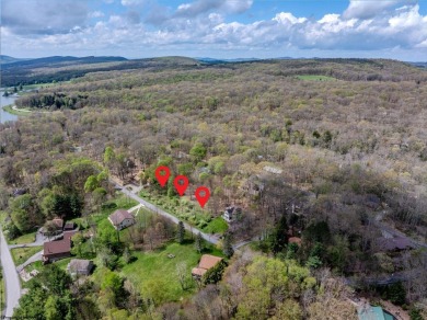 Have you been searching for the perfect location for your LAKE on Alpine Lake Resort in West Virginia - for sale on GolfHomes.com, golf home, golf lot