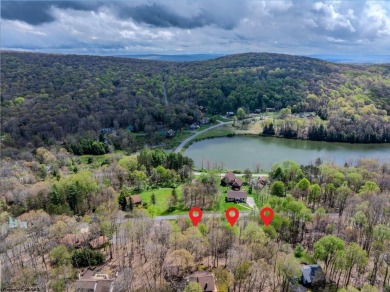 Have you been searching for the perfect location for your LAKE on Alpine Lake Resort in West Virginia - for sale on GolfHomes.com, golf home, golf lot