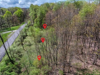 Have you been searching for the perfect location for your LAKE on Alpine Lake Resort in West Virginia - for sale on GolfHomes.com, golf home, golf lot