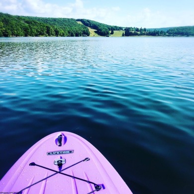 Have you been searching for the perfect location for your LAKE on Alpine Lake Resort in West Virginia - for sale on GolfHomes.com, golf home, golf lot