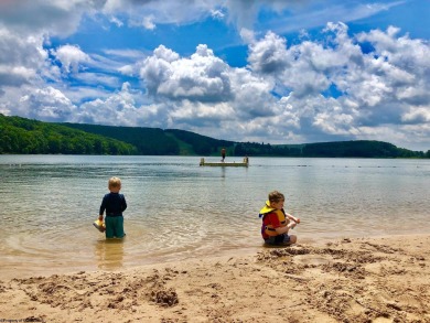 Have you been searching for the perfect location for your LAKE on Alpine Lake Resort in West Virginia - for sale on GolfHomes.com, golf home, golf lot