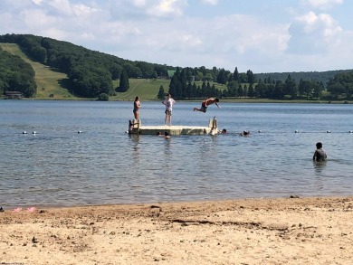 Have you been searching for the perfect location for your LAKE on Alpine Lake Resort in West Virginia - for sale on GolfHomes.com, golf home, golf lot