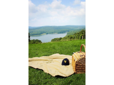 Have you been searching for the perfect location for your LAKE on Alpine Lake Resort in West Virginia - for sale on GolfHomes.com, golf home, golf lot