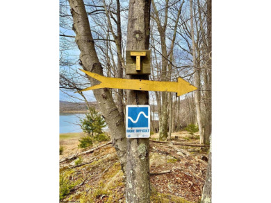 Have you been searching for the perfect location for your LAKE on Alpine Lake Resort in West Virginia - for sale on GolfHomes.com, golf home, golf lot