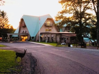 Have you been searching for the perfect location for your LAKE on Alpine Lake Resort in West Virginia - for sale on GolfHomes.com, golf home, golf lot