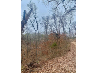 This beautiful, rural lot in Holiday Island, Arkansas on Holiday Island Golf Course in Arkansas - for sale on GolfHomes.com, golf home, golf lot