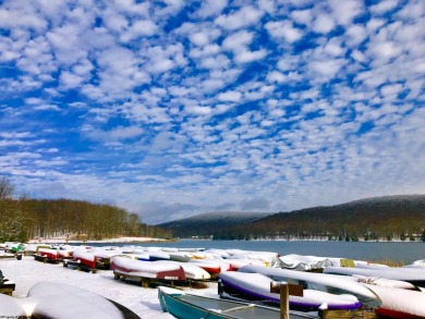 Have you been searching for the perfect location for your LAKE on Alpine Lake Resort in West Virginia - for sale on GolfHomes.com, golf home, golf lot