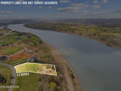 Don't miss out on this incredible opportunity to own a on Tennessee National Golf Club in Tennessee - for sale on GolfHomes.com, golf home, golf lot