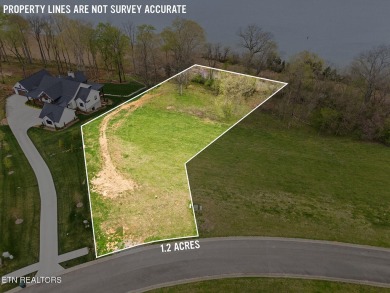 Don't miss out on this incredible opportunity to own a on Tennessee National Golf Club in Tennessee - for sale on GolfHomes.com, golf home, golf lot