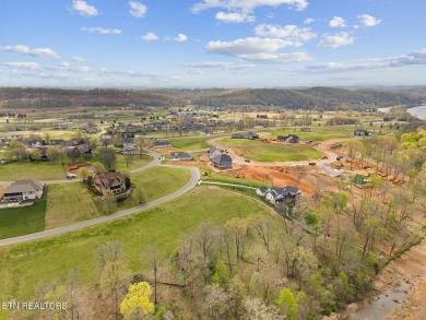 Don't miss out on this incredible opportunity to own a on Tennessee National Golf Club in Tennessee - for sale on GolfHomes.com, golf home, golf lot