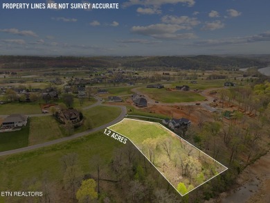 Don't miss out on this incredible opportunity to own a on Tennessee National Golf Club in Tennessee - for sale on GolfHomes.com, golf home, golf lot