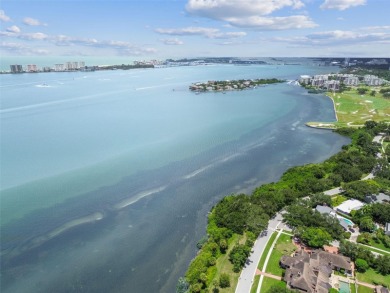 How is this possible? A home on the water in a NO FLOOD ZONE! on Belleview Biltmore Golf Club in Florida - for sale on GolfHomes.com, golf home, golf lot