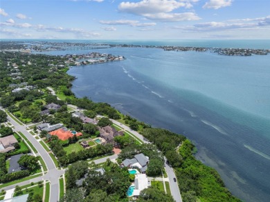 How is this possible? A home on the water in a NO FLOOD ZONE! on Belleview Biltmore Golf Club in Florida - for sale on GolfHomes.com, golf home, golf lot