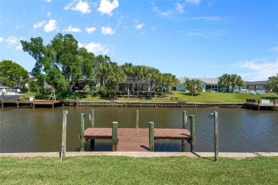 Welcome to paradise! Nestled in the heart of Palm Harbor, this on Palm Harbor Golf Club in Florida - for sale on GolfHomes.com, golf home, golf lot