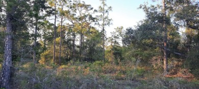 Come build your forever home on this one-half acre lot that on Indian Lake Estates Golf and Country Club in Florida - for sale on GolfHomes.com, golf home, golf lot