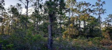 Come build your forever home on this one-half acre lot that on Indian Lake Estates Golf and Country Club in Florida - for sale on GolfHomes.com, golf home, golf lot