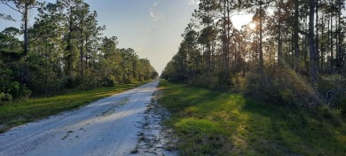 Come build your forever home on this one-half acre lot that on Indian Lake Estates Golf and Country Club in Florida - for sale on GolfHomes.com, golf home, golf lot