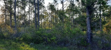 Come build your forever home on this one-half acre lot that on Indian Lake Estates Golf and Country Club in Florida - for sale on GolfHomes.com, golf home, golf lot