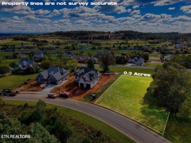 Build the perfect home on this lot and get great views of the TN on Tennessee National Golf Club in Tennessee - for sale on GolfHomes.com, golf home, golf lot